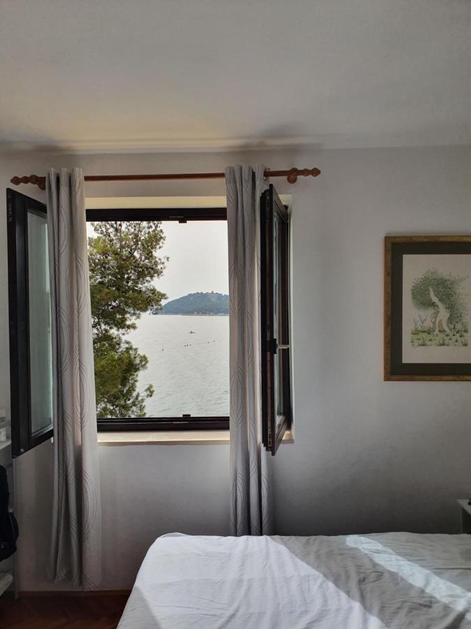 Apartman David Tribunj  Bagian luar foto